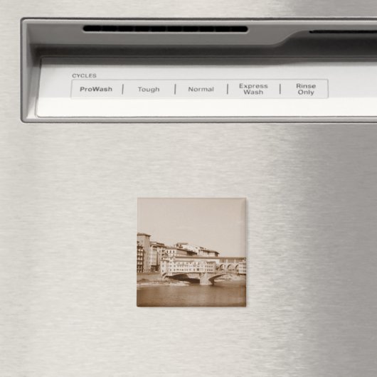 Ponte Vecchio Magneet (Insitu (Vaatwasser))