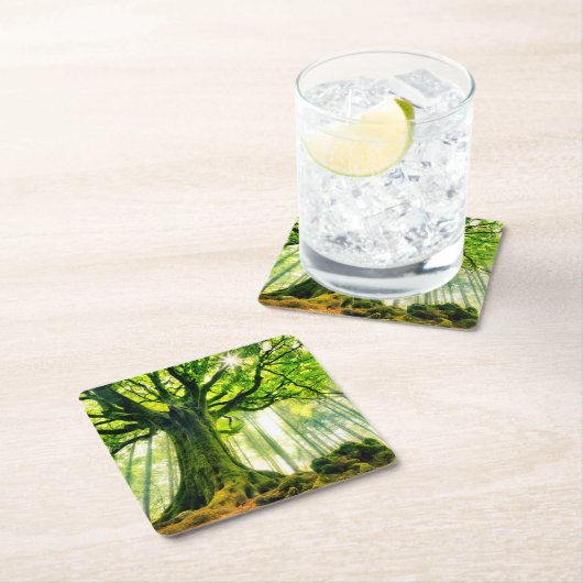 Ponthus' Beech Kartonnen Onderzetters (Insitu)