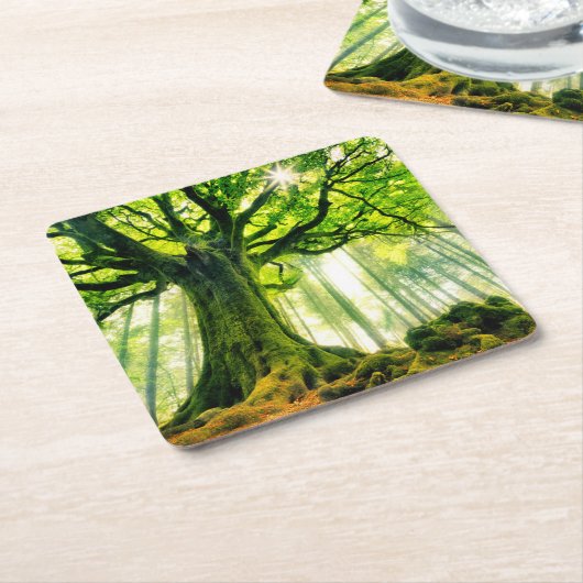 Ponthus' Beech Kartonnen Onderzetters (Schuin)