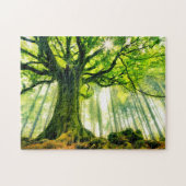 Ponthus' Beech Legpuzzel (Horizontaal)