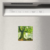 Ponthus' Beech Magneet (Insitu (Vaatwasser))