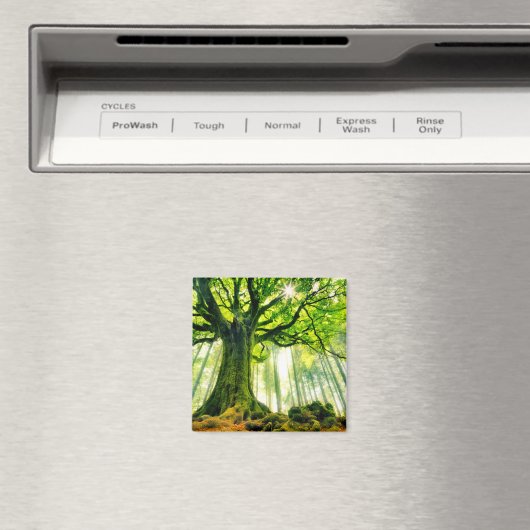 Ponthus' Beech Magneet (Insitu (Vaatwasser))