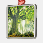 Ponthus' Beech Metalen Ornament (Links)