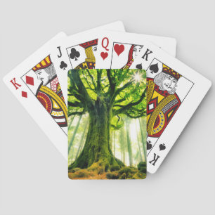 Ponthus' Beech Pokerkaarten