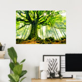 Ponthus' Beech Poster (Thuiskantoor)