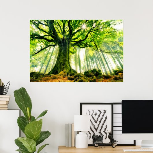 Ponthus' Beech Poster (Thuiskantoor)