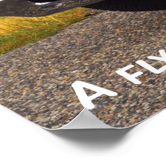 Pontiac GTO 1967 Poster (Hoek)