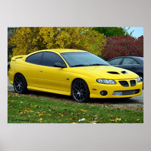 Pontiac GTO 2005 Poster (Voorkant)