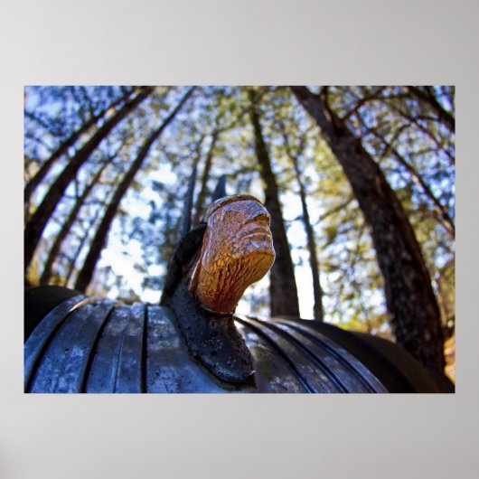 Pontiac Indian Hood Ornament (aansteker) Poster (Voorkant)