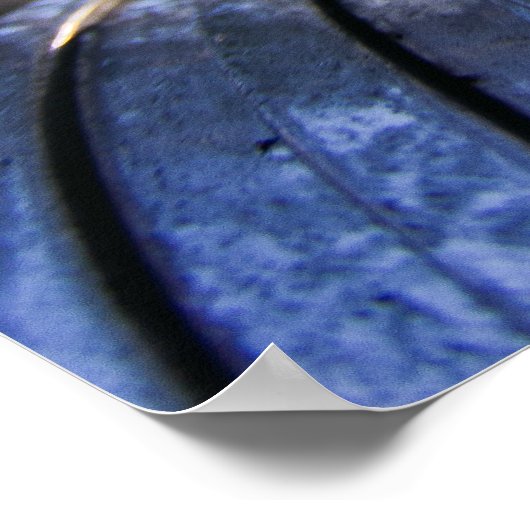 Pontiac Indian Hood Ornament Poster (Hoek)