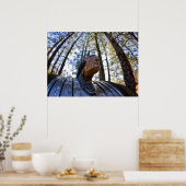 Pontiac Indian Hood Ornament Poster (Keuken)