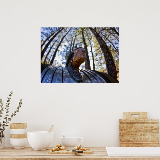 Pontiac Indian Hood Ornament Poster (Keuken)