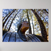 Pontiac Indian Hood Ornament Poster (Voorkant)