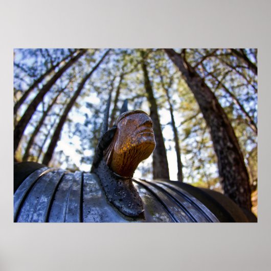 Pontiac Indian Hood Ornament Poster (Voorkant)