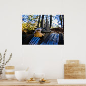 Pontiac Indian Hood Ornament Poster (Keuken)