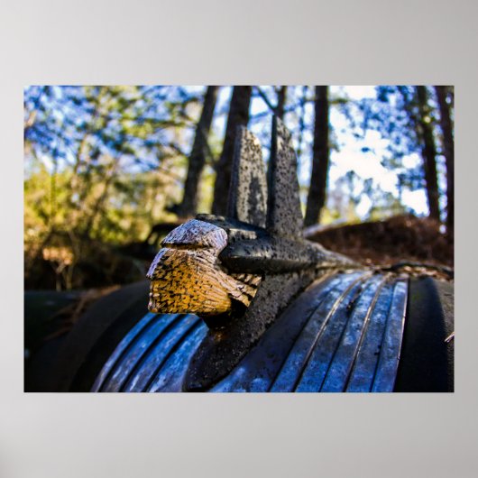 Pontiac Indian Hood Ornament Poster (Voorkant)