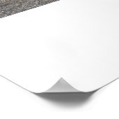 Pontiac Tempest 1966 Poster (Hoek)