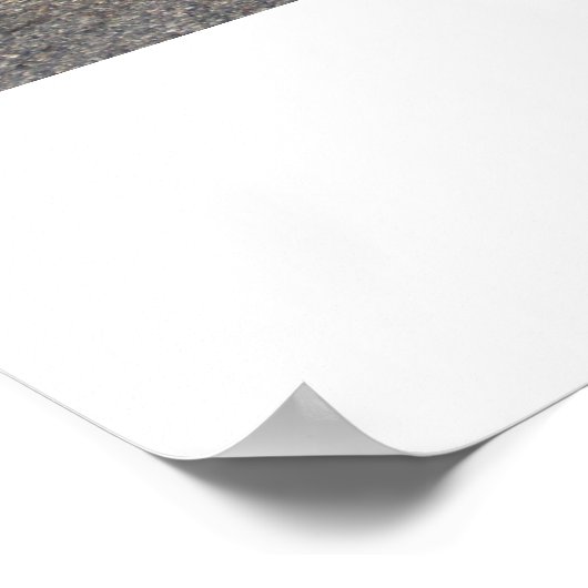 Pontiac Tempest 1966 Poster (Hoek)