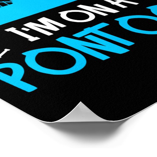 Pontoon Captain Boating Lake Gift  Poster (Hoek)