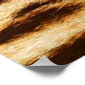 Pontpeltexturen van luipaarden. Dierlijke druk Poster (Hoek)