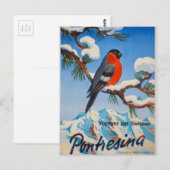  Pontresina Vacation Swiss Air Zwitserland Briefkaart (Voorkant / Achterkant)