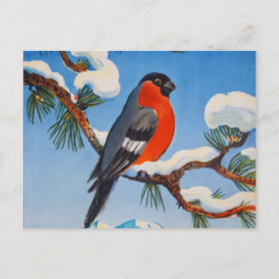 Pontresina Vacation Swiss Air Zwitserland Briefkaart