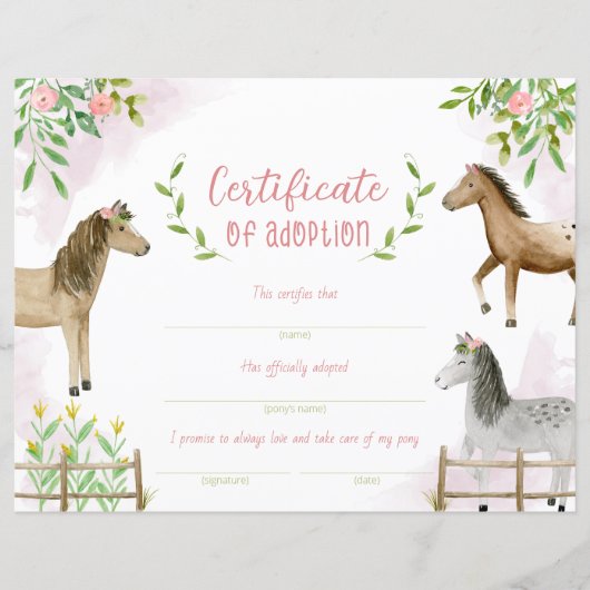Pony-adoptiecertificaat, certificaat van vaststell (Voorkant)