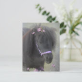 Pony - Ansichtkaart Briefkaart (Staand voorkant)