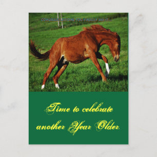 Pony Birthday Briefkaart