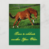 Pony Birthday Briefkaart (Voorkant)
