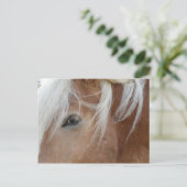 Pony briefkaart (Staand voorkant)