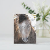 Pony Briefkaart (Staand voorkant)