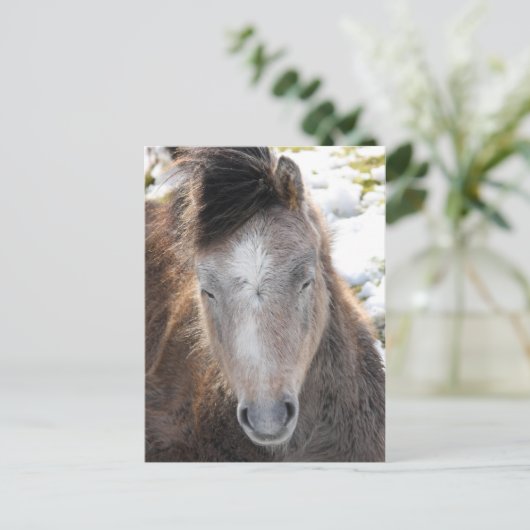 Pony Briefkaart (Staand voorkant)