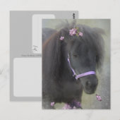 PONY - BRIEFKAART (Voorkant / Achterkant)