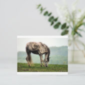 Pony Briefkaart (Staand voorkant)