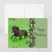 Pony Briefkaart (Voorkant / Achterkant)