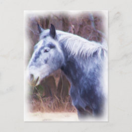 pony briefkaart