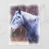 pony briefkaart (Voorkant)