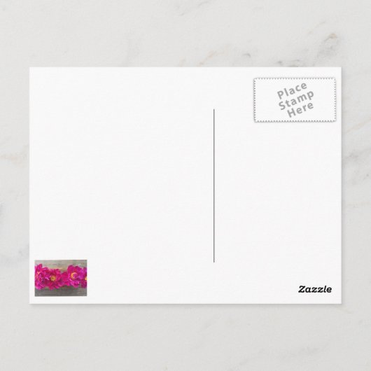 pony-briefkaart briefkaart (Achterkant)