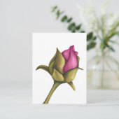 pony bud briefkaart (Staand voorkant)