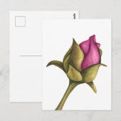 pony bud briefkaart (Voorkant / Achterkant)