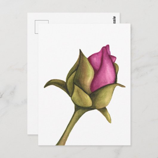 pony bud briefkaart (Voorkant / Achterkant)