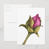 pony bud feestdagenkaart (Voorkant / Achterkant)