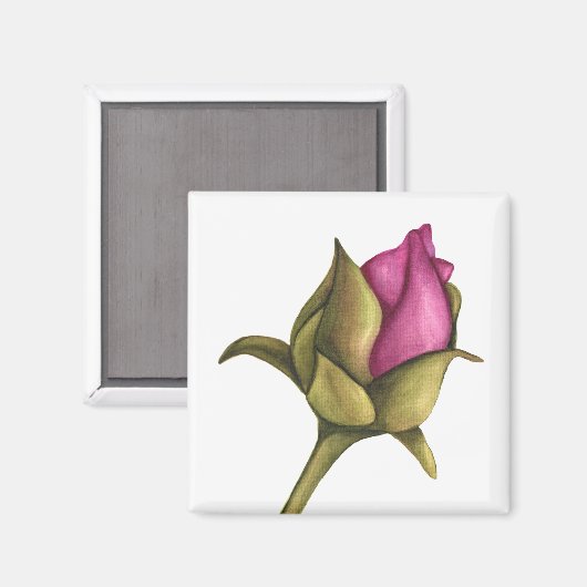 pony bud magneet (Voorkant / Achterkant)