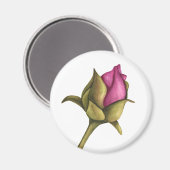 pony bud magneet (Voorkant / Achterkant)