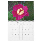 Pony Calendar aug 2007 - Juli 2008 Kalender (Feb 2027)
