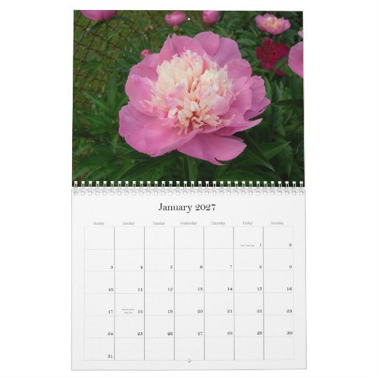 Pony Calendar aug 2007 - Juli 2008 Kalender (Jan 2027)
