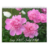 Pony Calendar aug 2007 - Juli 2008 Kalender (Hoes)