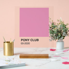 Pony Club Song Roze Kleur - Heldere achtergrond Acryl Bord