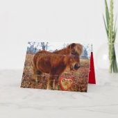 Pony en hart van de Valentijn van het kattenvoer Kaart (Voorkant)